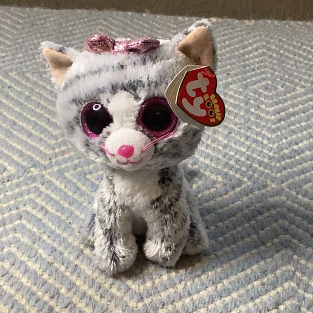 Meet Kiki the kitty the gray cat that loves bows